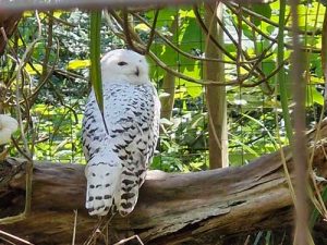 Coach Hire in Oldbury