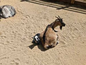 Coach Hire in Oldbury