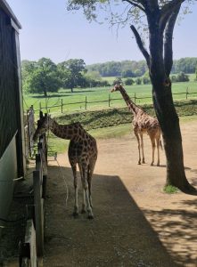 Coach Hire in Oldbury