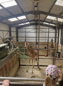 Coach Hire in Oldbury