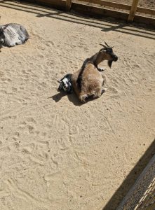 Coach Hire in Oldbury