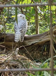 Coach Hire in Oldbury