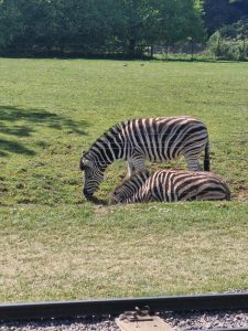 Coach Hire in Oldbury